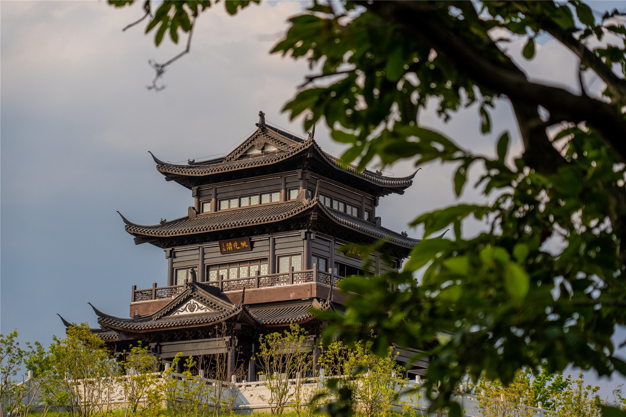 大纵湖,盐城文旅,大纵湖文旅,文旅集团,景点,旅游景区