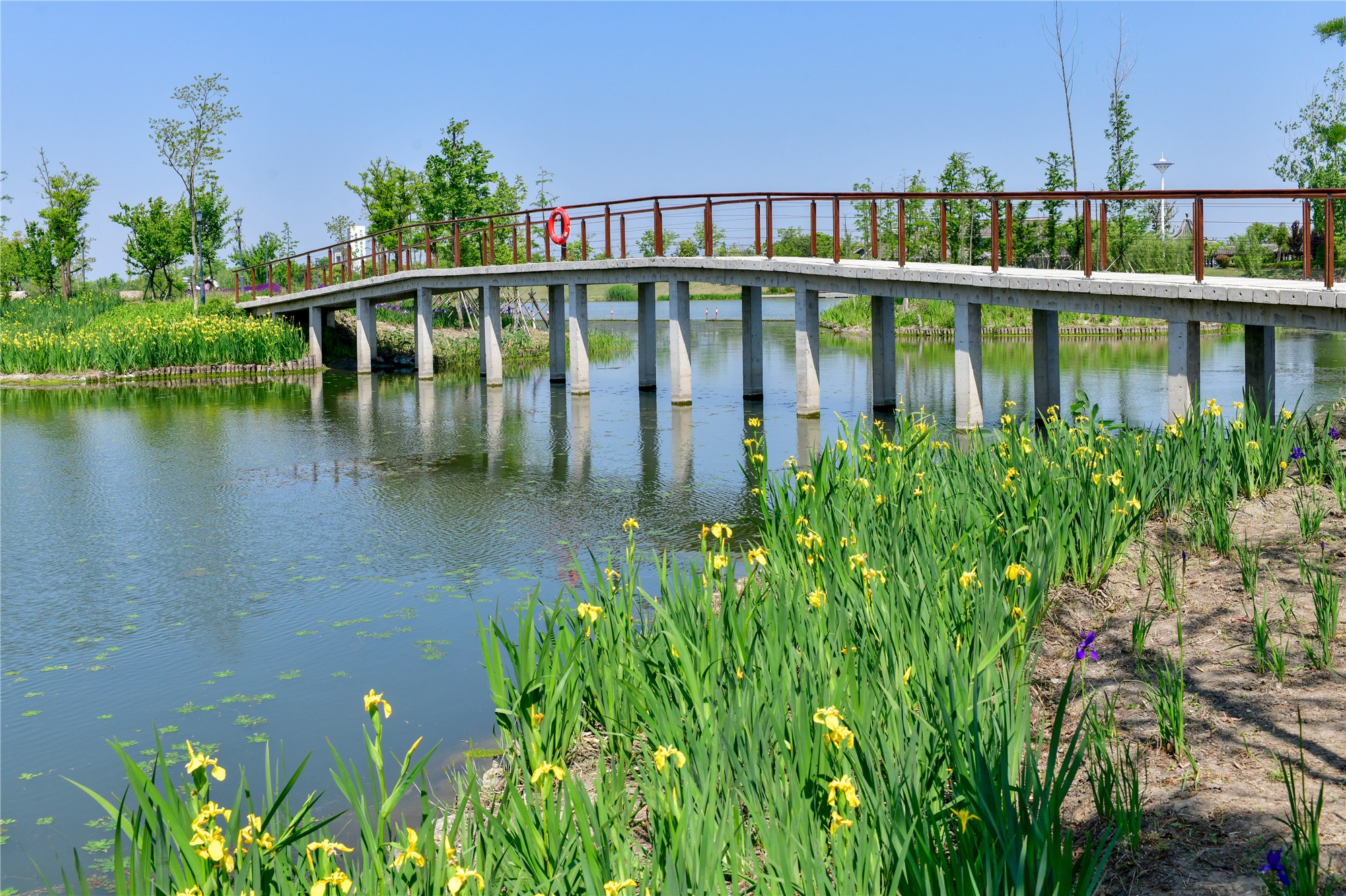 大纵湖,盐城文旅,大纵湖文旅,文旅集团,景点,旅游景区