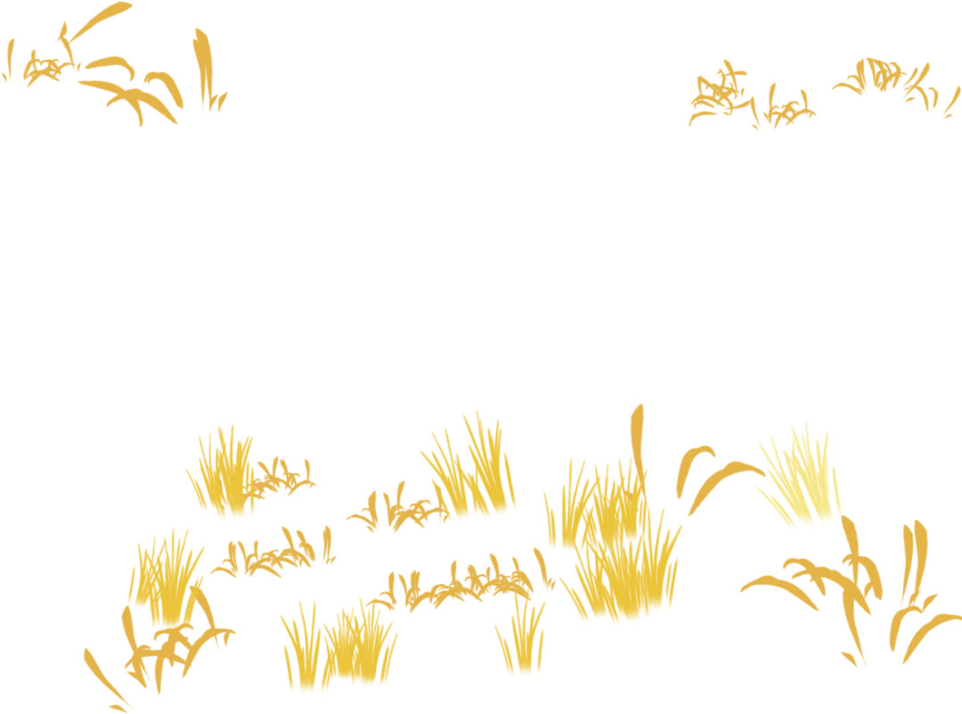 大纵湖,盐城文旅,大纵湖文旅,文旅集团,景点,旅游景区