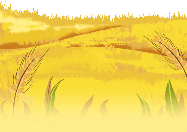 大纵湖,盐城文旅,大纵湖文旅,文旅集团,景点,旅游景区