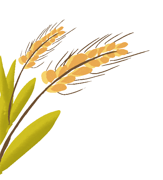 大纵湖,盐城文旅,大纵湖文旅,文旅集团,景点,旅游景区