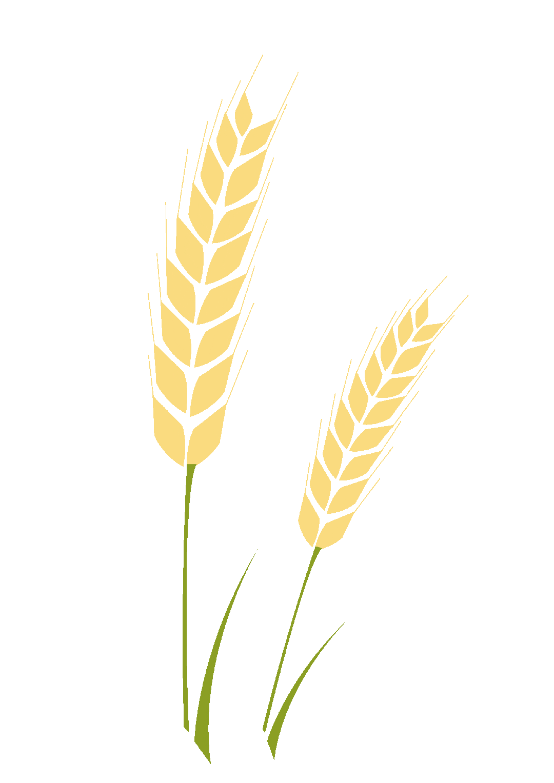 大纵湖,盐城文旅,大纵湖文旅,文旅集团,景点,旅游景区 大纵湖,盐城文旅,大纵湖文旅,文旅集团,景点,旅游景区