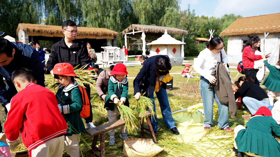 大纵湖,盐城文旅,大纵湖文旅,文旅集团,景点,旅游景区 21.png