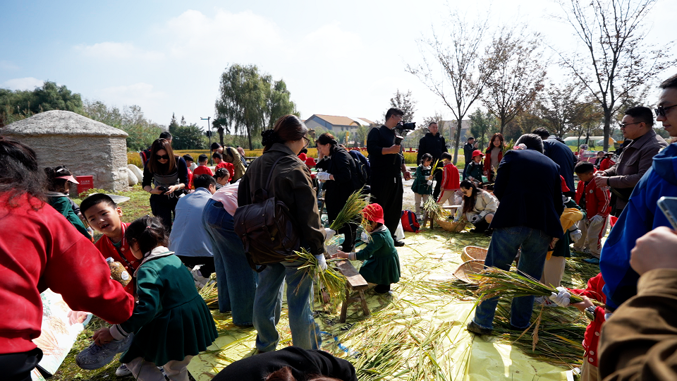 大纵湖,盐城文旅,大纵湖文旅,文旅集团,景点,旅游景区 19.png