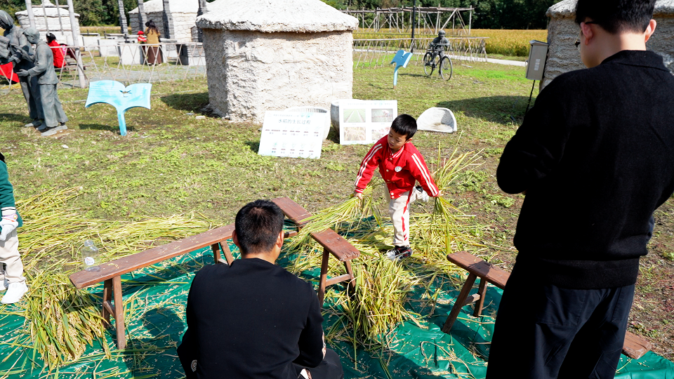 大纵湖,盐城文旅,大纵湖文旅,文旅集团,景点,旅游景区 22.png