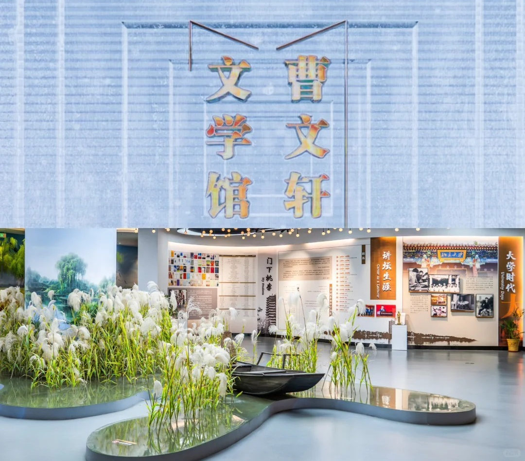 大纵湖,盐城文旅,大纵湖文旅,文旅集团,景点,旅游景区