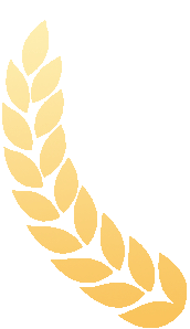 大纵湖,盐城文旅,大纵湖文旅,文旅集团,景点,旅游景区