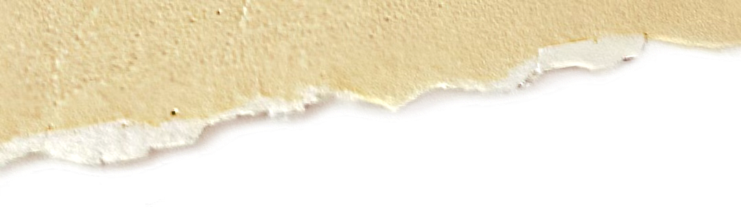 大纵湖,盐城文旅,大纵湖文旅,文旅集团,景点,旅游景区