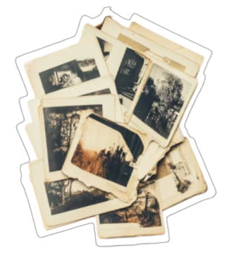 大纵湖,盐城文旅,大纵湖文旅,文旅集团,景点,旅游景区