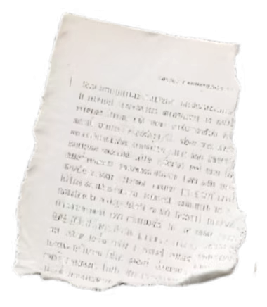 大纵湖,盐城文旅,大纵湖文旅,文旅集团,景点,旅游景区