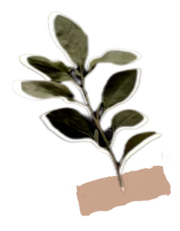 大纵湖,盐城文旅,大纵湖文旅,文旅集团,景点,旅游景区