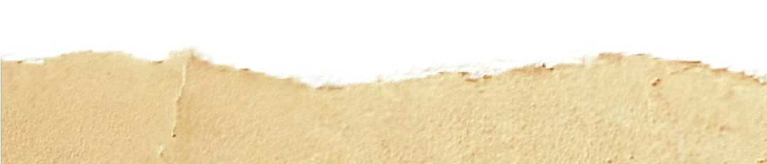 大纵湖,盐城文旅,大纵湖文旅,文旅集团,景点,旅游景区