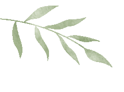 大纵湖,盐城文旅,大纵湖文旅,文旅集团,景点,旅游景区