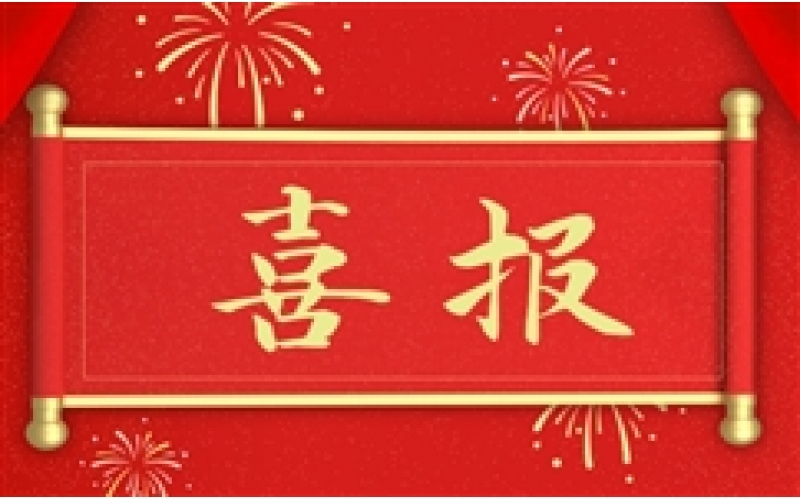 恭喜《青铜葵花》提名第38届中国电影金鸡奖